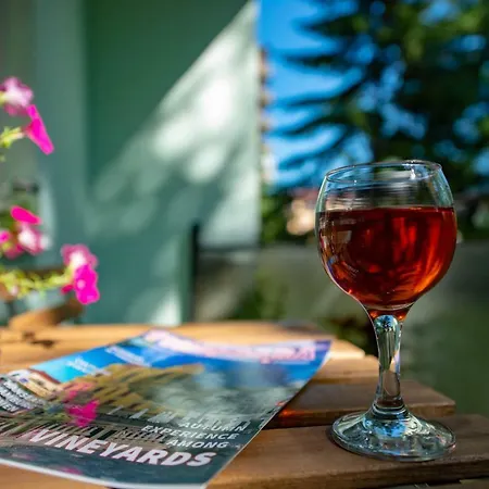 Daire Dulcineea Apt- Free Parking-family Friendly Temeşvar